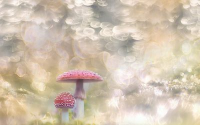 Toksična pozitivnost